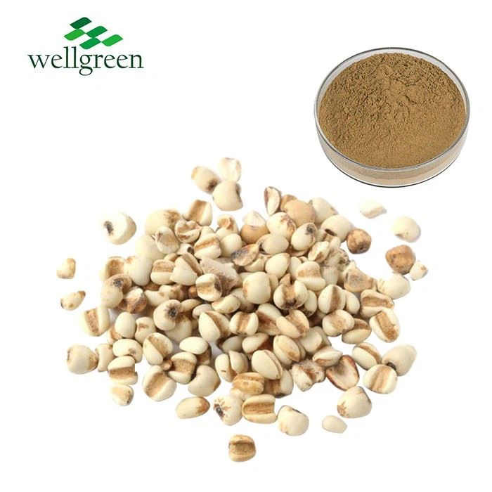Coix Seed Extract